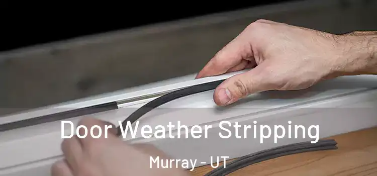 Door Weather Stripping Murray - UT