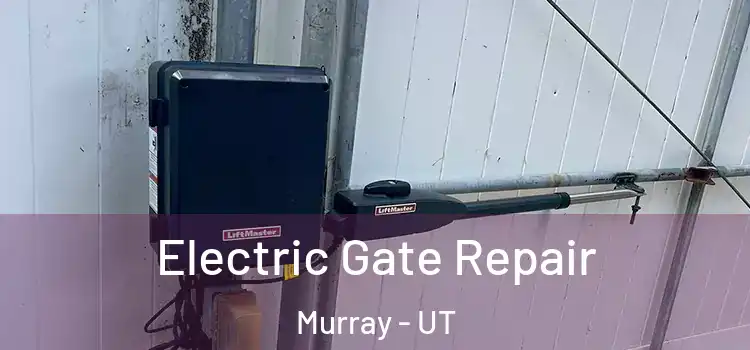 Electric Gate Repair Murray - UT