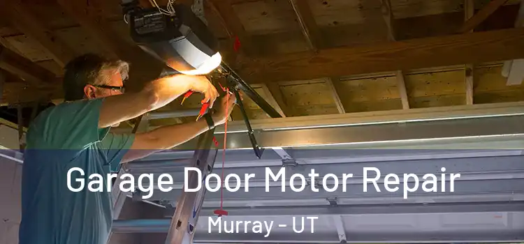  Garage Door Motor Repair Murray - UT