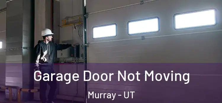  Garage Door Not Moving Murray - UT