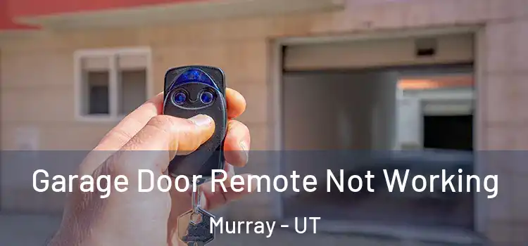  Garage Door Remote Not Working Murray - UT