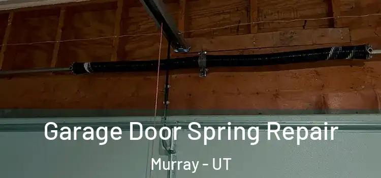  Garage Door Spring Repair Murray - UT