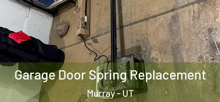  Garage Door Spring Replacement Murray - UT