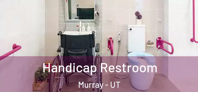 Handicap Restroom Murray - UT