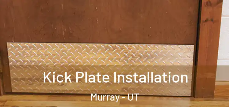 Kick Plate Installation Murray - UT