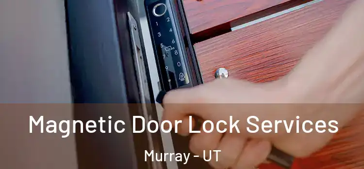 Magnetic Door Lock Services Murray - UT